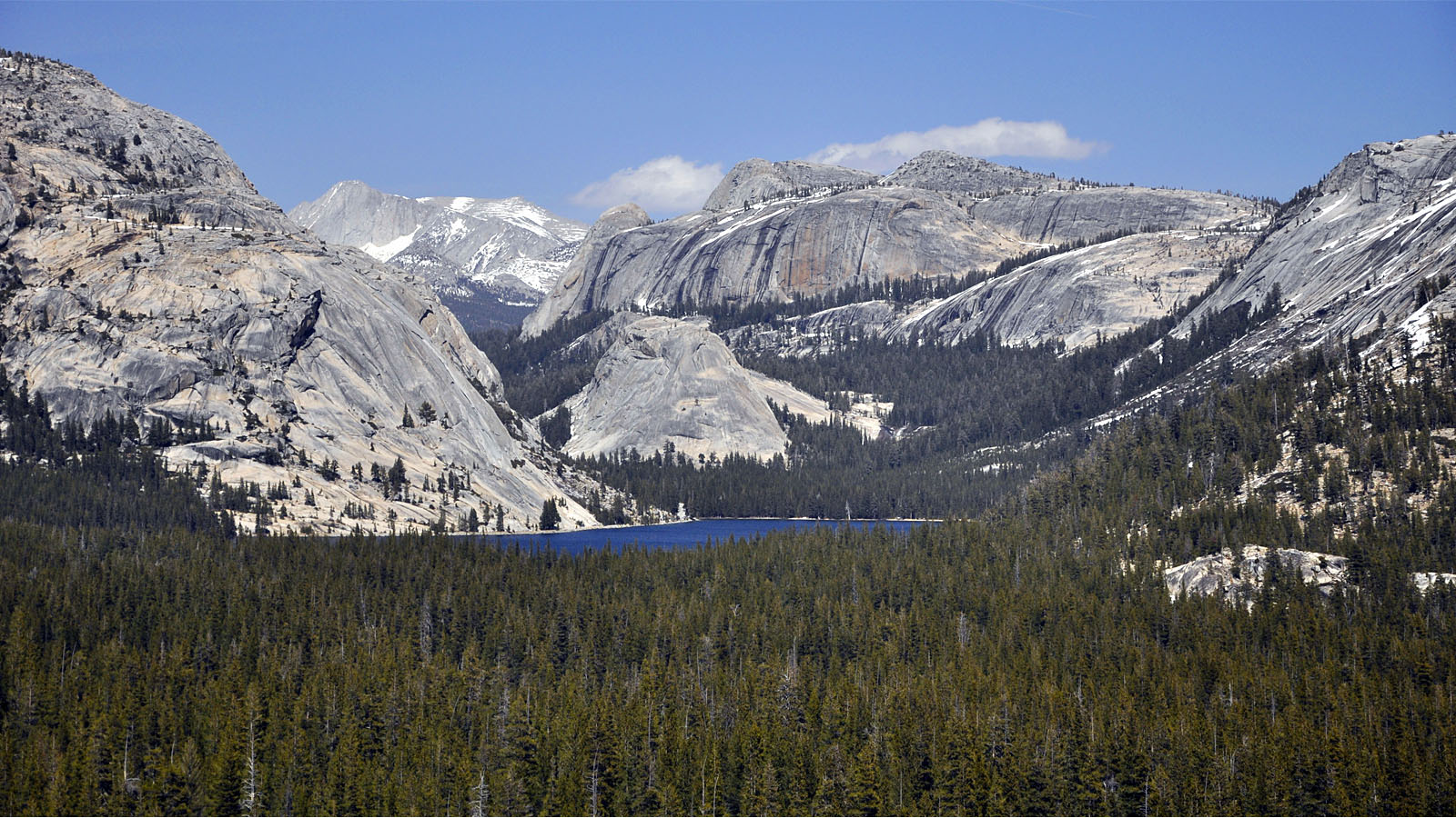 Tioga Road of Yosemite National Park.