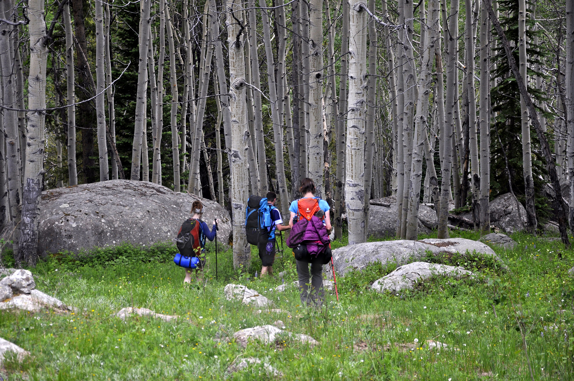 Backpacking the Colorado Rocky Mountains